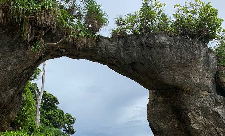 Exotic Andaman with Neil Island