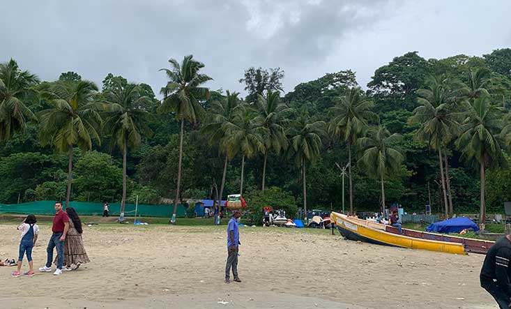 Lovely Beach Coral Andaman